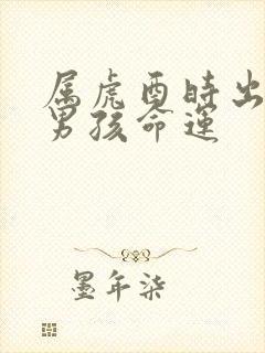 属虎酉时出生的男孩命运