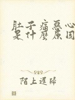 肚子痛恶心想吐是什么原因引起的