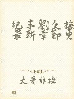 纪丰刘久梅小说最新章节更新内容封面