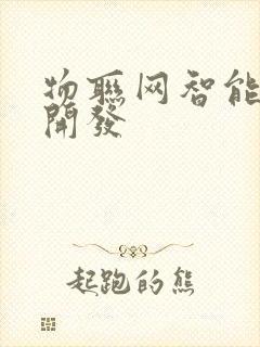 物联网智能系统开发