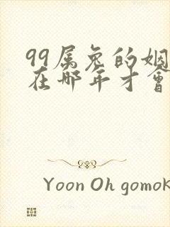 99属兔的姻缘在哪年才会成功封面