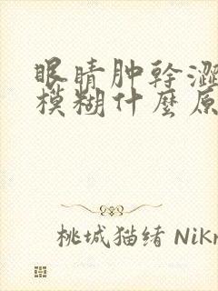 眼睛肿干涩视力模糊什么原因引起的