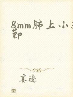 8mm肺上小结节封面