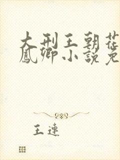 大刑王朝花卿卿凤卿小说免费阅读