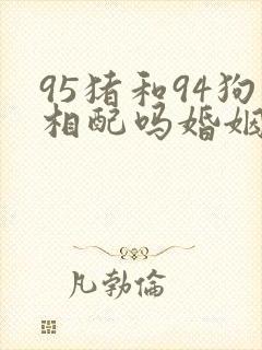 95猪和94狗相配吗婚姻