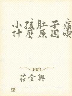 小孩肚子痛呕吐什么原因吃什么药