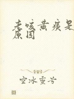 老咳黄痰是什么原因封面