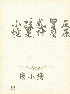 小孩感冒反复低烧是什么原因引起的封面