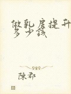 做乳房提升手术多少钱