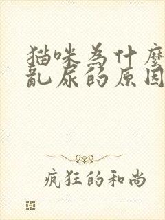 猫咪为什么乱拉乱尿的原因