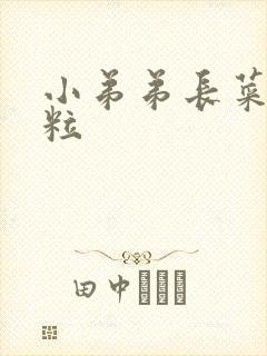 小弟弟长菜花肉粒