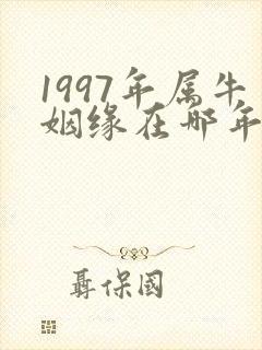 1997年属牛姻缘在哪年哪月