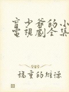 盲少爷的小女仆电视剧全集