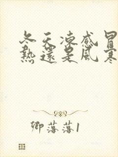 冬天冻感冒是风热还是风寒