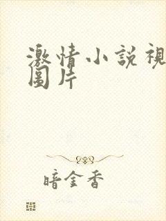 激情小说视频区图片