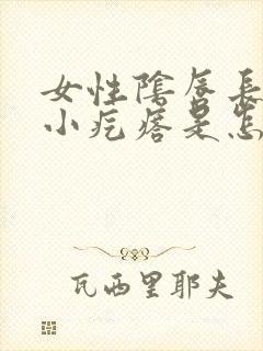 女性阴唇长了个小疙瘩是怎么回事