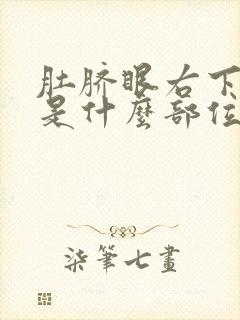 肚脐眼右下边疼是什么部位