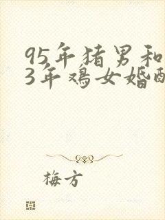 95年猪男和93年鸡女婚配