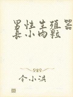 男性生殖器周围长小肉粒