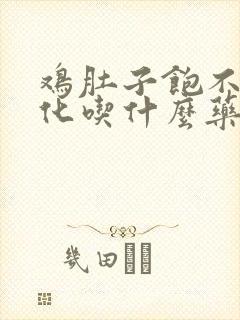 鸡肚子饱不得消化吃什么药封面