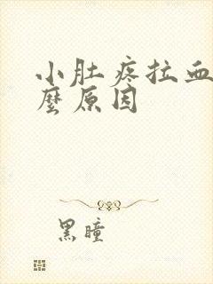 小肚疼拉血是什么原因封面