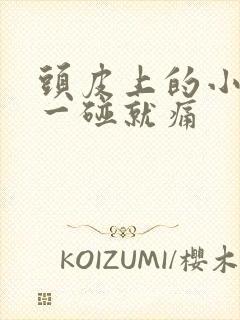 头皮上的小疙瘩一碰就痛