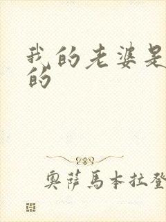 我的老婆是重生的