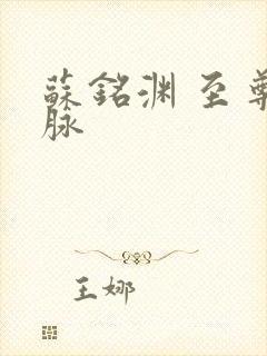 苏铭渊 至尊血脉