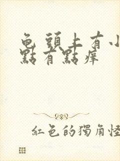 龟 头上有小红点有点痒