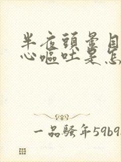 半夜头晕目眩恶心呕吐是怎么回事