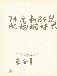 74虎和84鼠配婚姻好不好呢封面