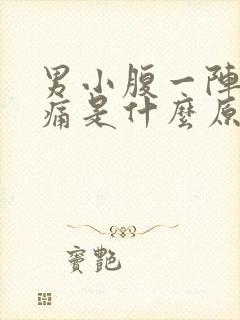 男小腹一阵一阵痛是什么原因封面