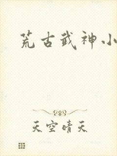 荒古武神小说