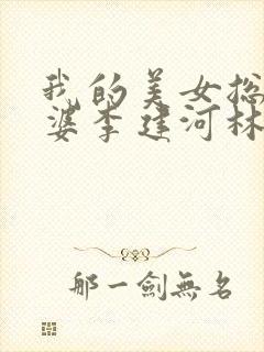 我的美女总裁老婆李建河林若溪