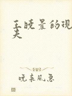 王晓晨的现任丈夫