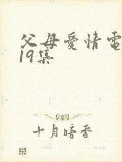 父母爱情电视剧19集