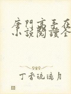 唐门高手在异世小说阅读全文