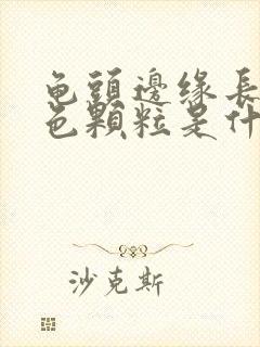 龟头边缘长的白色颗粒是什么