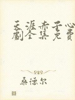 天涯赤子心电视剧全集免费观看大结局