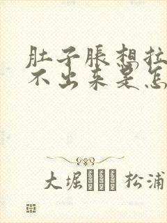 肚子胀想拉屎拉不出来是怎么办