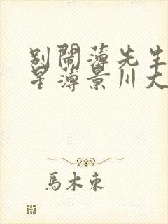 别闹薄先生沈繁星薄景川大全