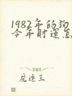 1982年的狗今年财运怎么样