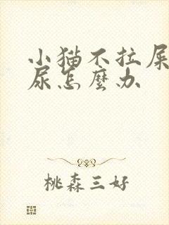 小猫不拉屎不拉尿怎么办