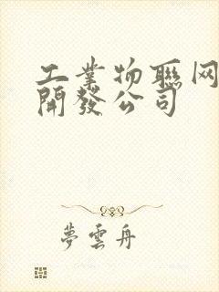 工业物联网平台开发公司