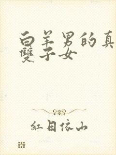 白羊男的真爱是双子女