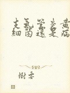 支气管炎黄痰是细菌还是病毒