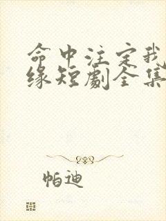 命中注定我遇良缘短剧全集免费观看封面