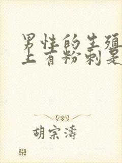 男性的生殖器官上有粉刺是什么原因