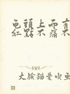 龟头上面有好多红点不痛不痒