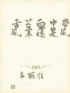 舌苔白中带黄是风寒还是风热